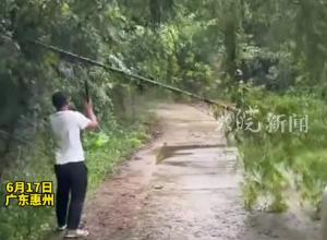 台风大雨将路边竹子刮倒阻挡道路 热心男子冒雨下车一路清理