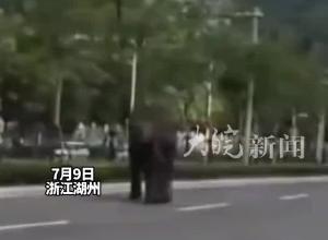 一乐园大象“出逃”跑上公路 已被工作人员用西瓜“哄”回！ 派出所：未造成损失
