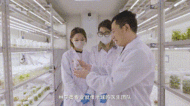带你认识大学专业 | 林学类，“绿色守护者”养成记