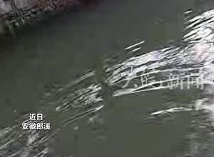 男子醉酒坠入河中 辅警从3米高河堤跳下救人