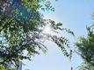 39℃以上！合肥发布预警提示