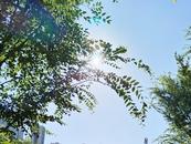 39℃以上！合肥发布预警提示