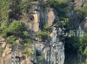  “大王”下山！网友第一次在村后山偶遇白头叶猴，十分激动！