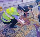 ﻿六安：大量黄豆“占领”隧道约百米路面