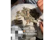 河南一男子自称考古人却直播贩卖文物？多方回应