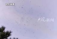 高溫天，花蚊子出沒！大白天隔衣服都咬人 專家：部分種群已產生抗藥性