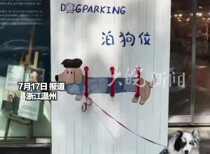 带着宠物狗进不了菜市场?温州推出“泊狗位” 网友纷纷晒图
