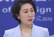 如何看待蜜雪冰城、霸王茶姬等中國品牌成為外國民眾消費新寵？外交部回應