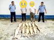 歙縣警方：非法捕撈漁獲物近500斤，2人被抓 