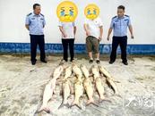 歙縣警方：非法捕撈漁獲物近500斤，2人被抓 