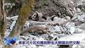 野生雄性大熊猫独特求偶行为被拍到，自然交配画面曝光