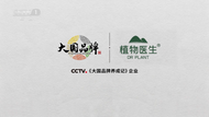 高山植物 純凈美?。褐参镝t生的大國品牌之路與綠色承諾 
