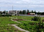 體驗農耕之趣！巢湖市“共享菜園”盤活閑置土地