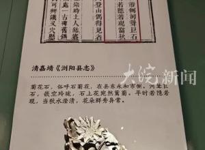 “清嘉慶”被注釋成“清嘉靖”？湖南省博物院回應