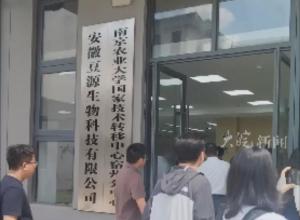 “活力中国调研行”  黄淮海（宿州）种业科技谷   ，科技赋能种业振兴