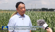 中央媒体看安徽 ∣ 徐淙祥：多种粮种好粮 带领农户科技种田