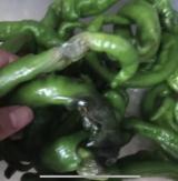 幼儿园现腐烂食材 教育局:未给幼儿食用 园长被辞退