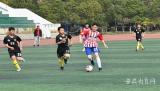 合肥包河区在全市中小学青少年校园足球比赛中再创佳绩
