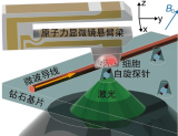 中国科大新研究成果:肝癌细胞拍出"超清写真"