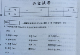 语文试卷现硬广告 学校教育在商业运作面前不能失守