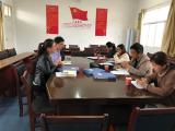 金寨县以标准化建设为抓手 提高基层党组织建设质量