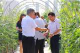 清华附中合肥学校到访合肥市芙蓉小学