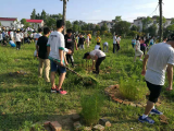 劳动创造美！六安市新安中学高一年级开展校园除草行动