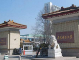 南京林业大学:只要教得好,没论文也能评教授