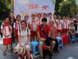 让爱无障碍！合肥市安居苑小学参与举办导盲犬公益宣传