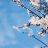 金寨县2019年秋季教师资格认定工作启动