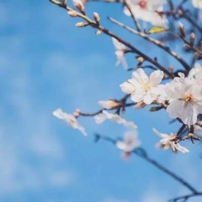 金寨縣2019年秋季教師資格認(rèn)定工作啟動(dòng)