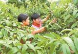 话题：学生劳动教育是“浪费”时间吗？