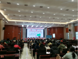 金江实验学校数学节“名师进校园”活动侧记