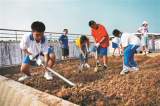 北京市教委：中小学生定期参加扫厕所 