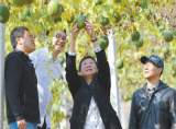 人民日报：高校成为脱贫攻坚生力军