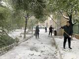 金江实验学校积极开展了除雪保绿活动