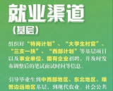 @2020届毕业生，最新就业政策来了 
