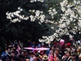 最新！六安中小学放假时间出炉