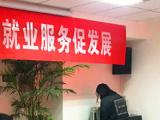 人民日报：这个就业季 梦想可期
