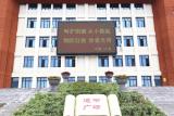 葉集二小開展愛眼日主題宣傳教育活動