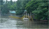 安三教育集团安庆路校区：一（1）班“守护南淝河，你我同行” 翠竹园社区抗洪慰问活动