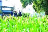 光明日报：北京高校毕业生留京率连续下降