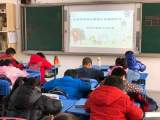 追寻数学之美——合肥市杏林小学第十四届数学学科节圆满落幕