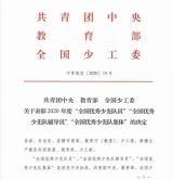 五一小学十岁少年荣登全国表彰榜