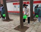 爱护绿意就是保护希望