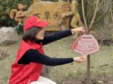 合肥市莲花小学党支部开展“党员认领责任树”活动