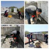 潜山市油坝乡中心学校 ：党员活动日 我们在行动