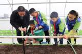 我们有个好传统：植树节认领“班级树”