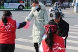 巢湖市城南小学：开展交通文明劝导志愿服务活动