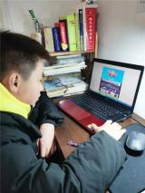 合肥市六安路小学荣城花园分校：开展“红领巾爱学习”网上主题队课学习活动